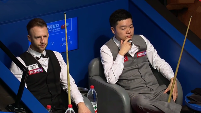 松的氛围 松的氛围