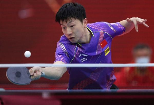 仅违反了体 仅违反了体