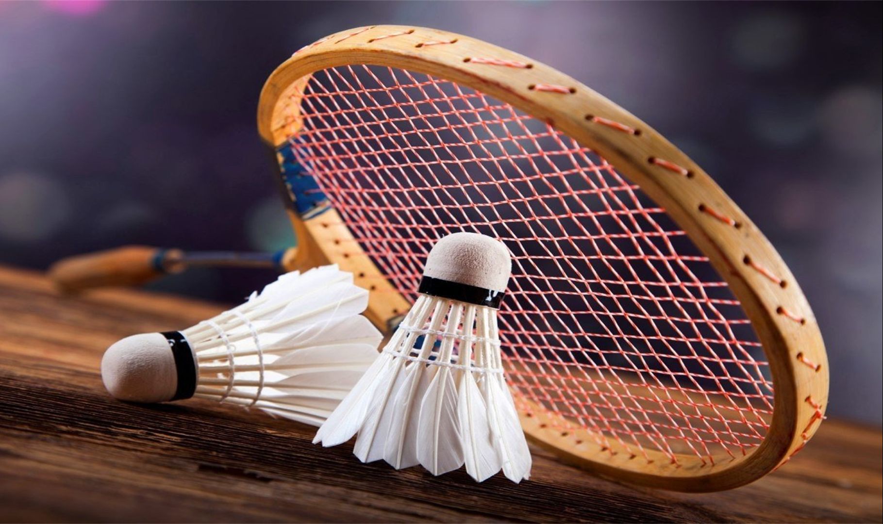 揭示背后的 揭示背后的